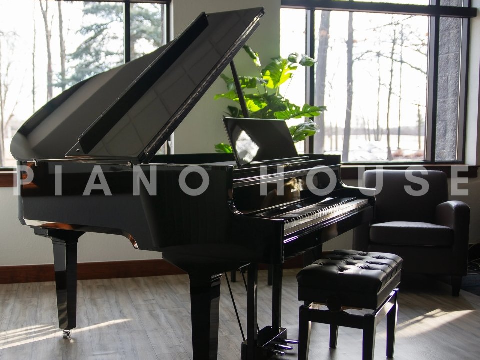 Hình ảnh chi tiết ROLAND GP-9M PE góc chụp 2